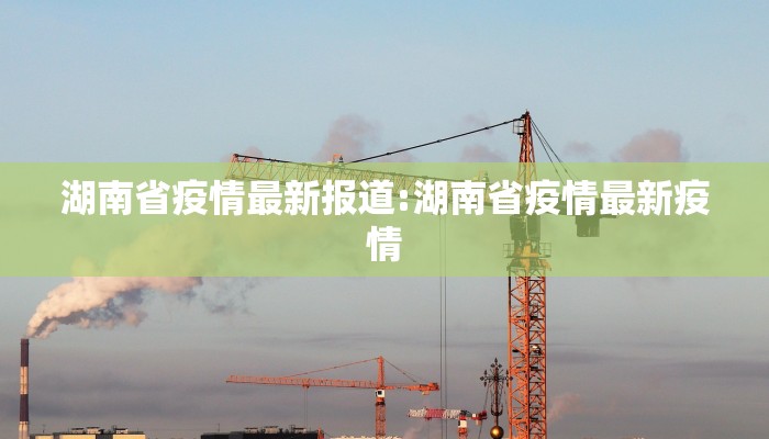 湖南省疫情最新报道:湖南省疫情最新疫情