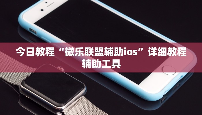 今日教程“微乐联盟辅助ios”详细教程辅助工具