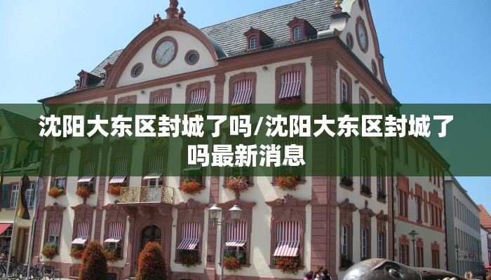 沈阳大东区封城了吗/沈阳大东区封城了吗最新消息