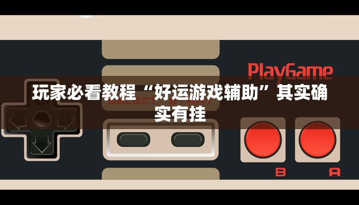 玩家必看教程“好运游戏辅助”其实确实有挂