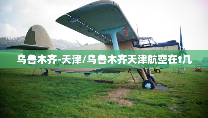 乌鲁木齐-天津/乌鲁木齐天津航空在t几