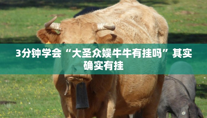 3分钟学会“大圣众娱牛牛有挂吗”其实确实有挂
