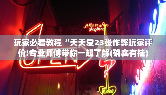 玩家必看教程“天天爱23张作弊玩家评价!专业师傅带你一起了解(确实有挂)