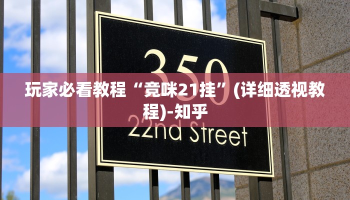 玩家必看教程“竞咪21挂”(详细透视教程)-知乎
