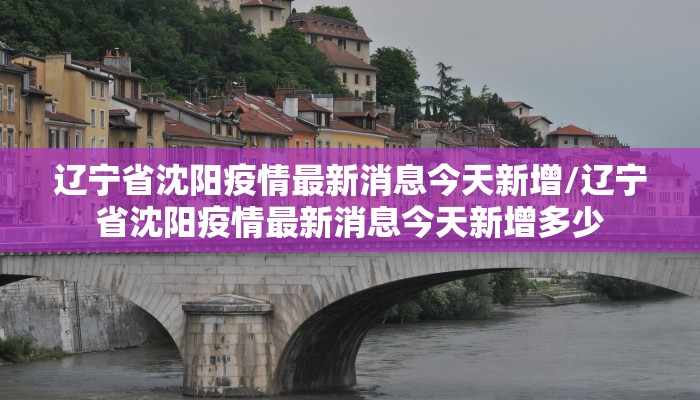 辽宁省沈阳疫情最新消息今天新增/辽宁省沈阳疫情最新消息今天新增多少