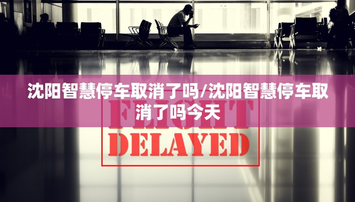 沈阳智慧停车取消了吗/沈阳智慧停车取消了吗今天