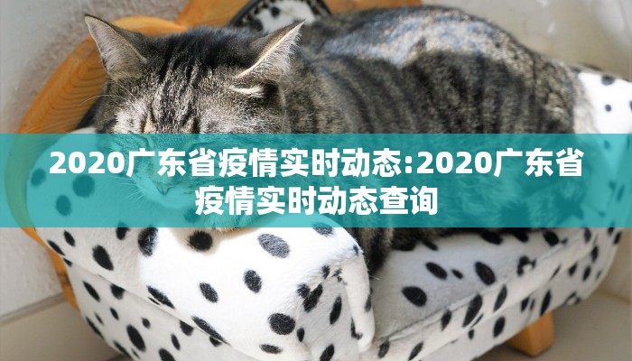 2020广东省疫情实时动态:2020广东省疫情实时动态查询