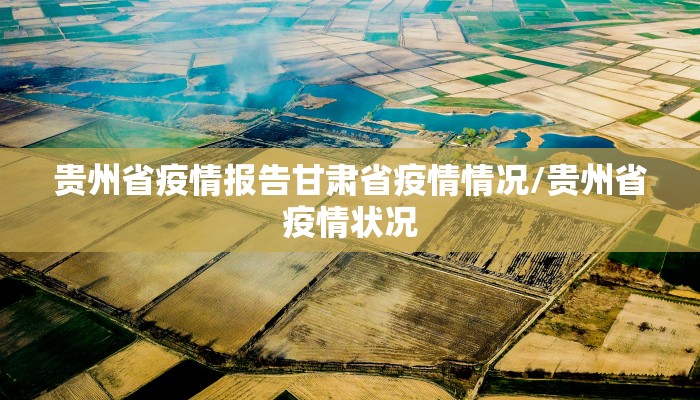 贵州省疫情报告甘肃省疫情情况/贵州省疫情状况