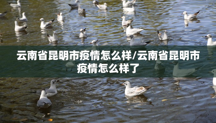 云南省昆明市疫情怎么样/云南省昆明市疫情怎么样了