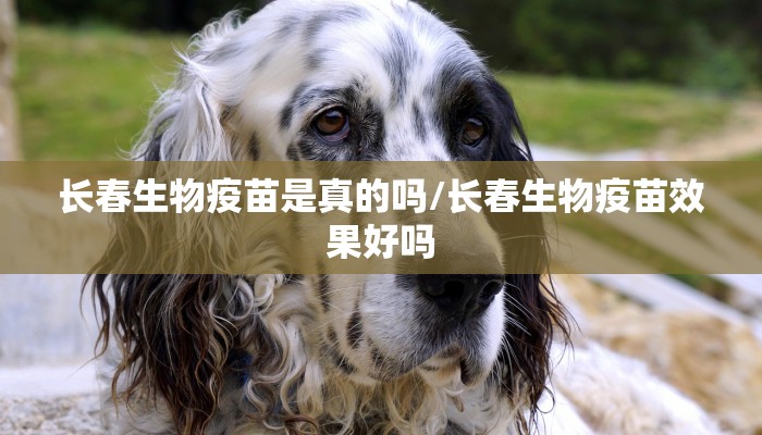 长春生物疫苗是真的吗/长春生物疫苗效果好吗