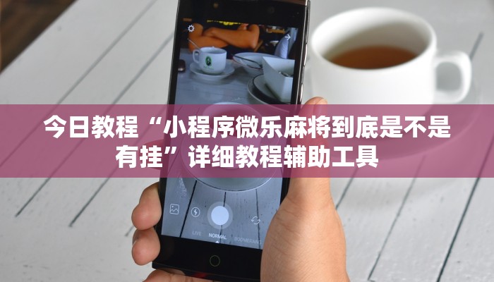 今日教程“小程序微乐麻将到底是不是有挂”详细教程辅助工具