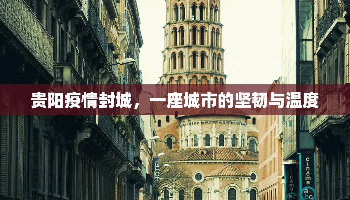 贵阳疫情封城，一座城市的坚韧与温度