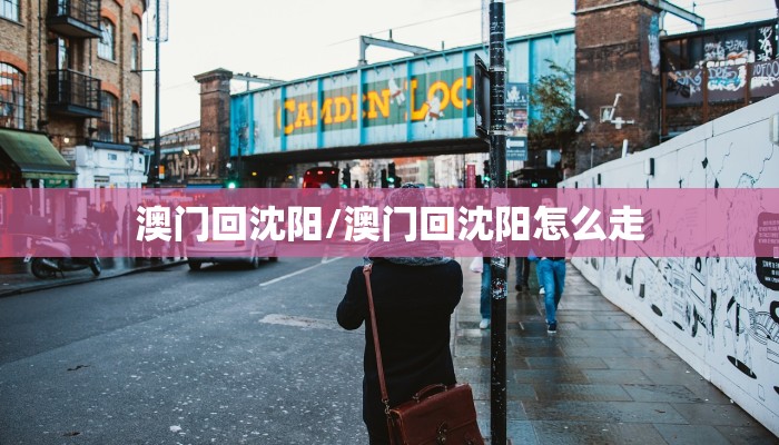 澳门回沈阳/澳门回沈阳怎么走