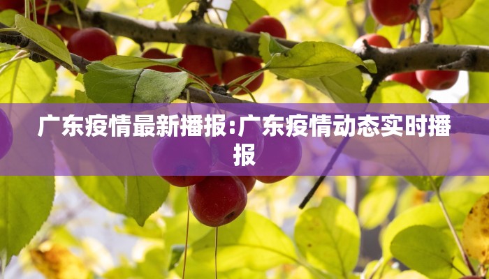 广东疫情最新播报:广东疫情动态实时播报