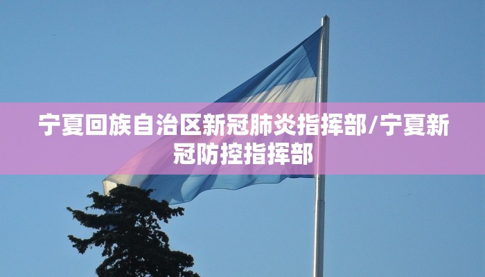 宁夏回族自治区新冠肺炎指挥部/宁夏新冠防控指挥部