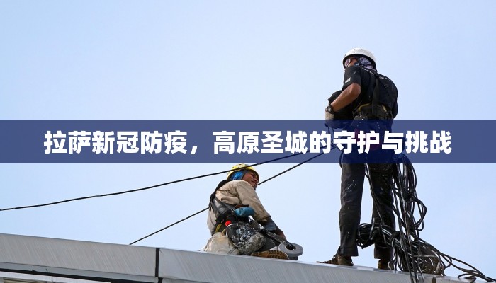 拉萨新冠防疫，高原圣城的守护与挑战