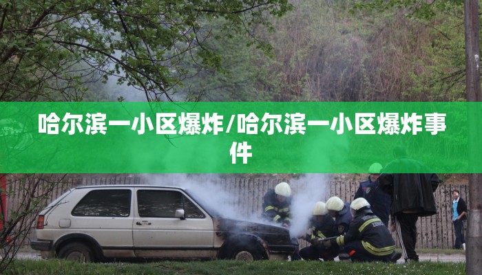 哈尔滨一小区爆炸/哈尔滨一小区爆炸事件