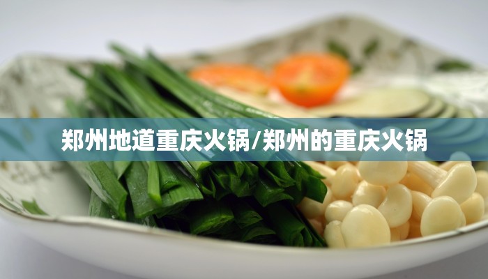 郑州地道重庆火锅/郑州的重庆火锅