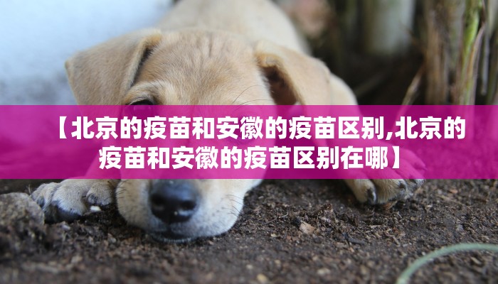 【北京的疫苗和安徽的疫苗区别,北京的疫苗和安徽的疫苗区别在哪】
