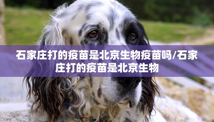 石家庄打的疫苗是北京生物疫苗吗/石家庄打的疫苗是北京生物