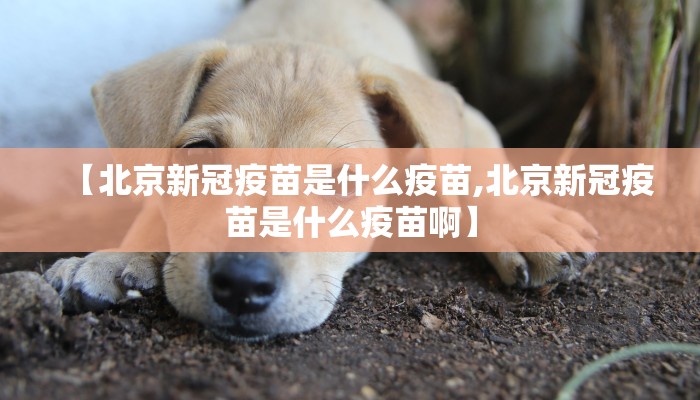 【北京新冠疫苗是什么疫苗,北京新冠疫苗是什么疫苗啊】