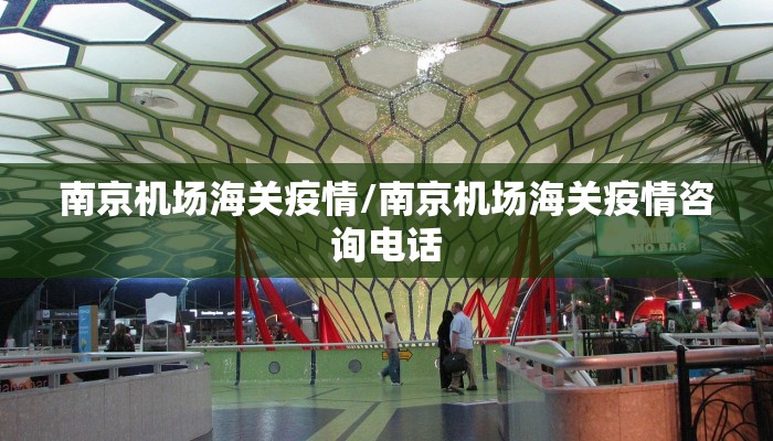 南京机场海关疫情/南京机场海关疫情咨询电话
