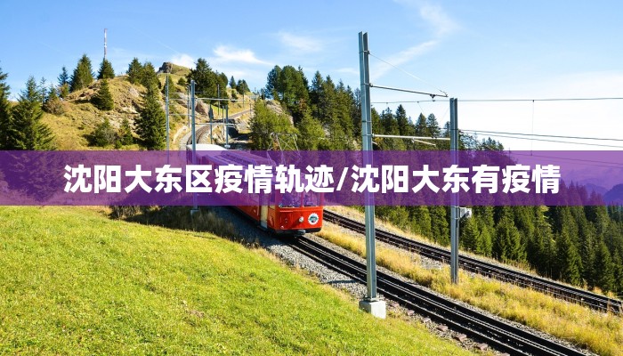 沈阳大东区疫情轨迹/沈阳大东有疫情