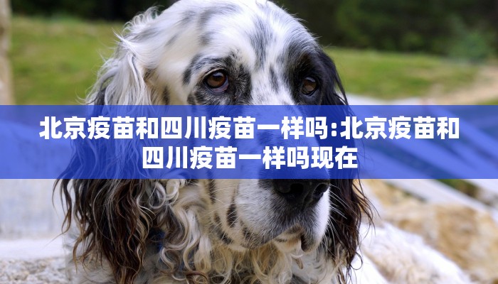 北京疫苗和四川疫苗一样吗:北京疫苗和四川疫苗一样吗现在