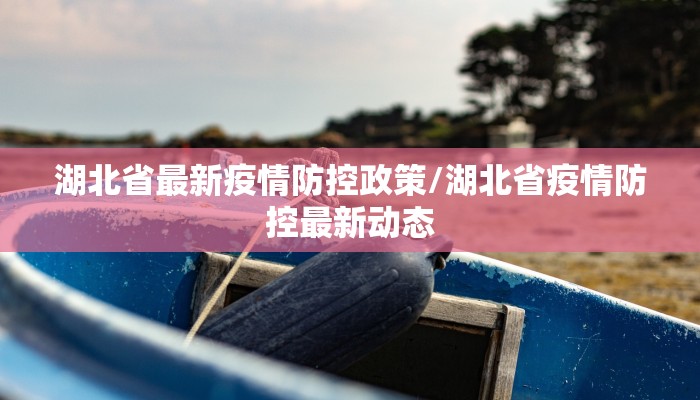 湖北省最新疫情防控政策/湖北省疫情防控最新动态