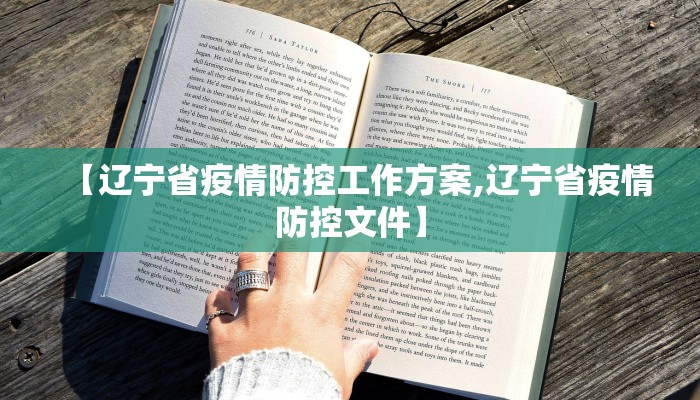 【辽宁省疫情防控工作方案,辽宁省疫情防控文件】
