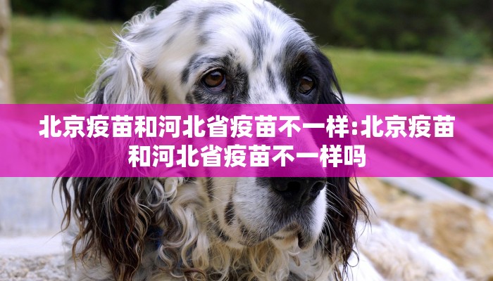 北京疫苗和河北省疫苗不一样:北京疫苗和河北省疫苗不一样吗