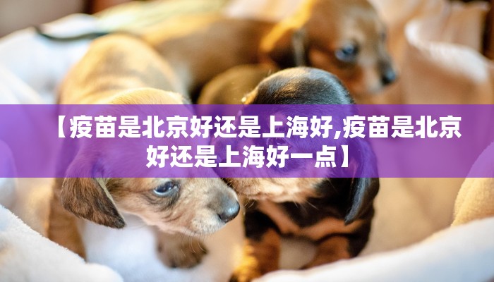 【疫苗是北京好还是上海好,疫苗是北京好还是上海好一点】