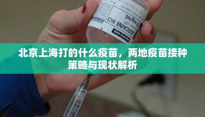 北京上海打的什么疫苗，两地疫苗接种策略与现状解析