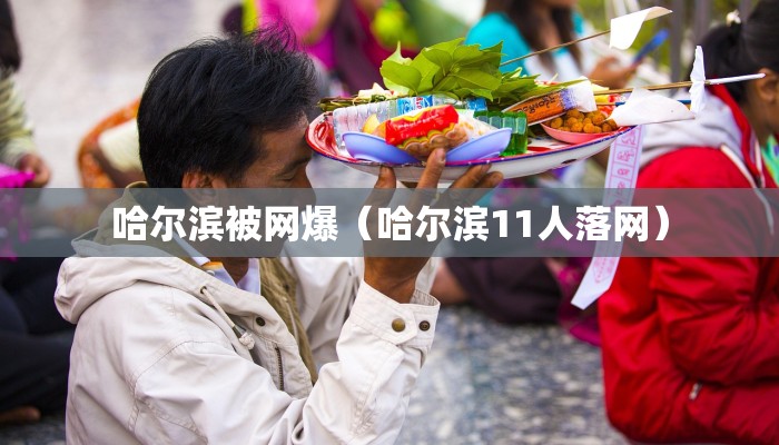 哈尔滨被网爆（哈尔滨11人落网）