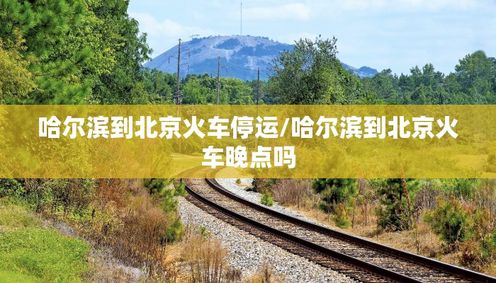 哈尔滨到北京火车停运/哈尔滨到北京火车晚点吗