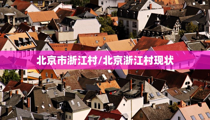 北京市浙江村/北京浙江村现状
