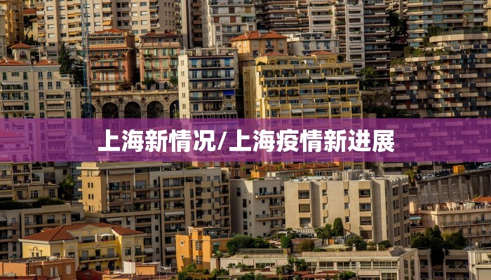 上海新情况/上海疫情新进展