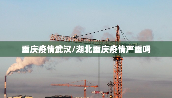重庆疫情武汉/湖北重庆疫情严重吗