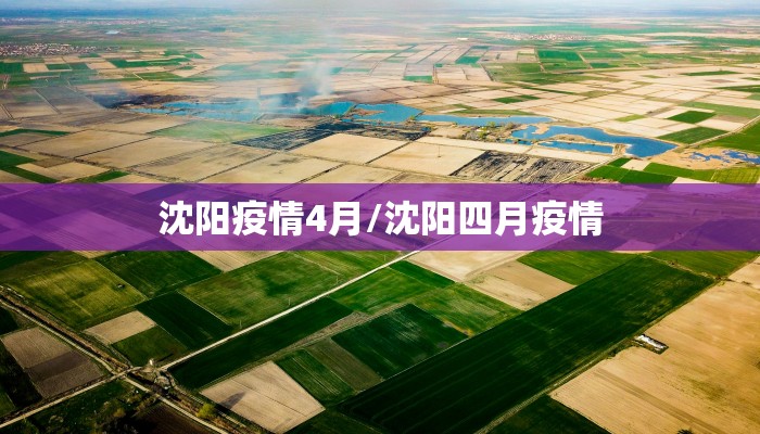 沈阳疫情4月/沈阳四月疫情