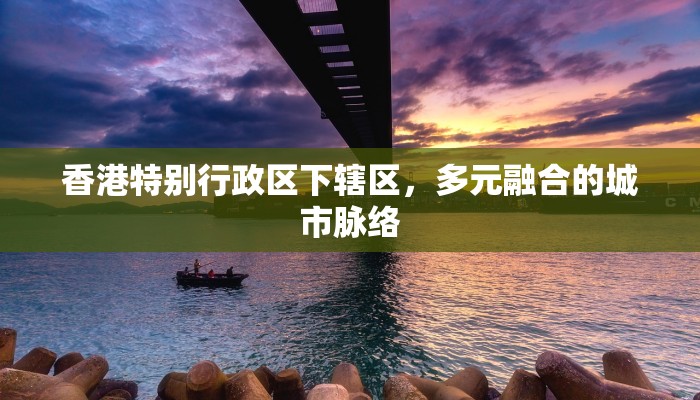 香港特别行政区下辖区，多元融合的城市脉络