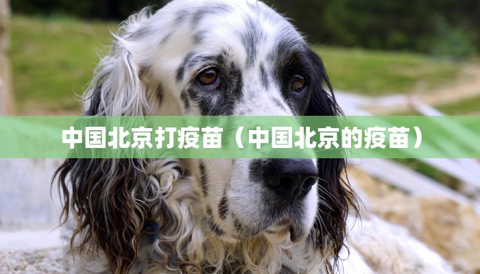 中国北京打疫苗（中国北京的疫苗）