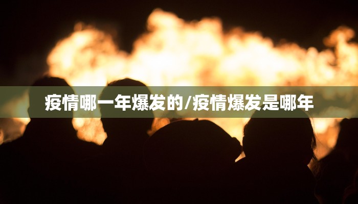 疫情哪一年爆发的/疫情爆发是哪年