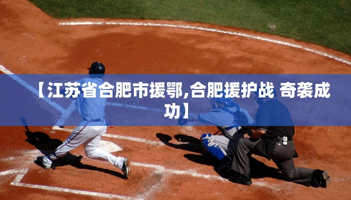 【江苏省合肥市援鄂,合肥援护战 奇袭成功】