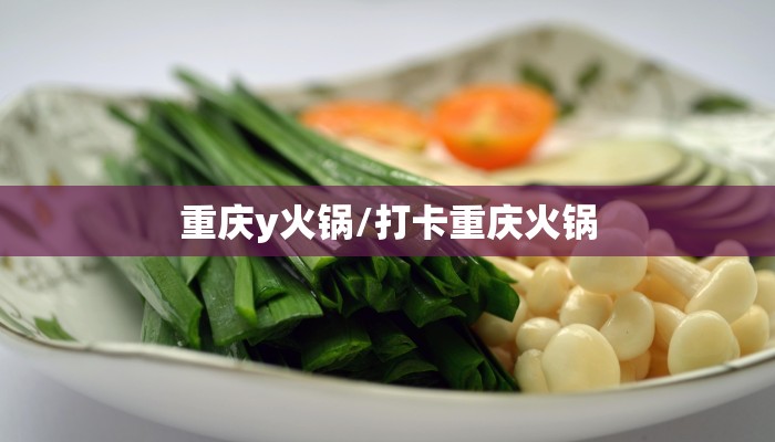 重庆y火锅/打卡重庆火锅