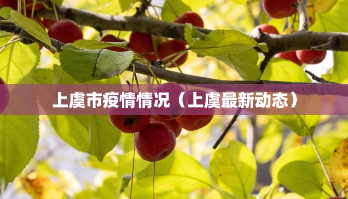 上虞市疫情情况（上虞最新动态）