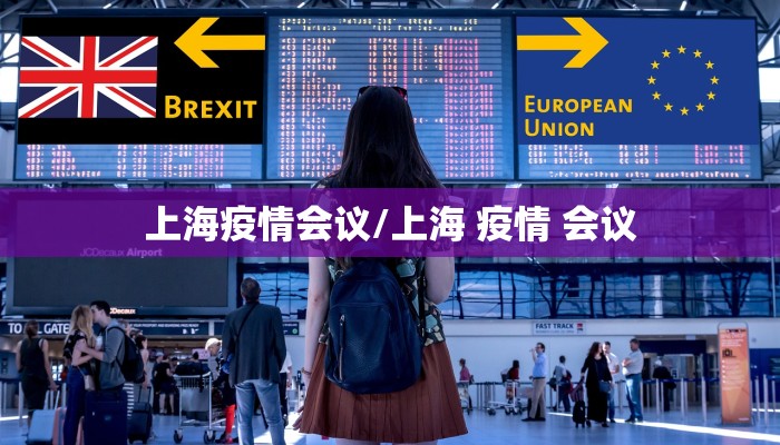 上海疫情会议/上海 疫情 会议